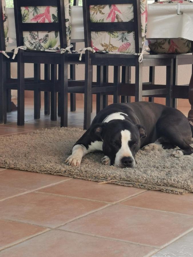 Villa Lamanova ロヴィニ エクステリア 写真
